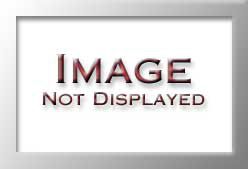 FS606686